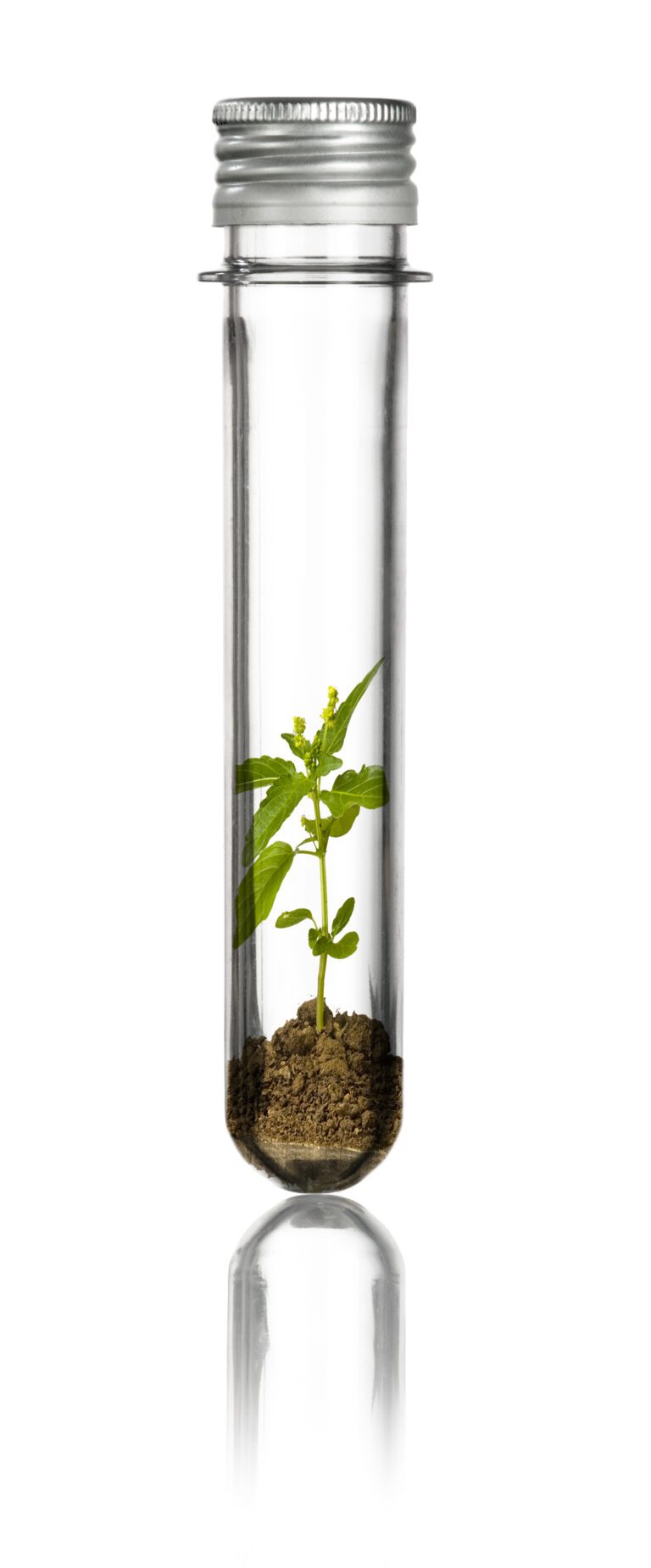 20150224 foto IDEN 4M