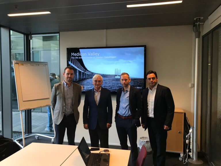 18.10 Suecia Dinamarca