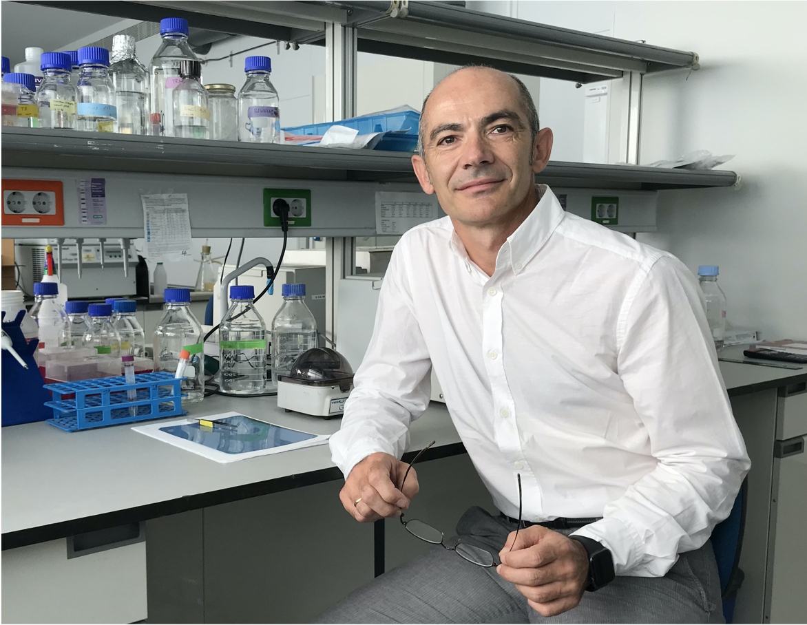 21.04 Leadartis promotor