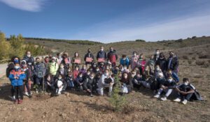 21.11 Plantacin Sendaviva